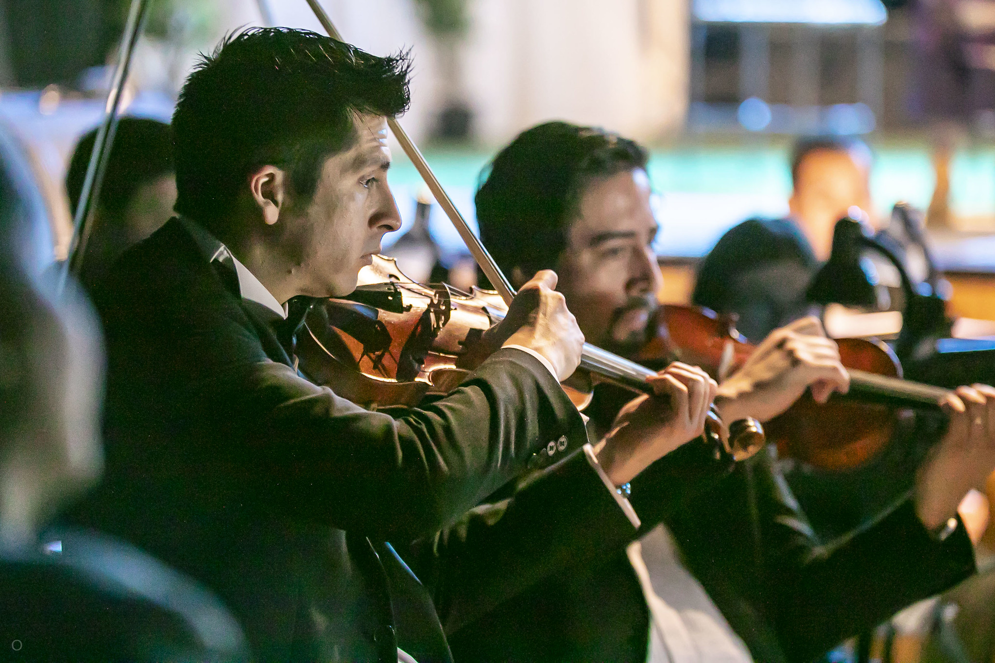 Violines en entreacto